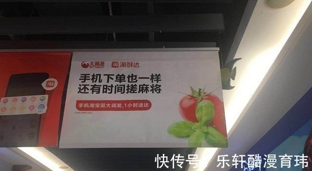 员工|女员工被逼陪酒签单，掉队的淘鲜达，是阿里巴巴的一个心病