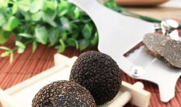 中国3大“顶尖”野生植物,个个卖出天价,网友;吃不起