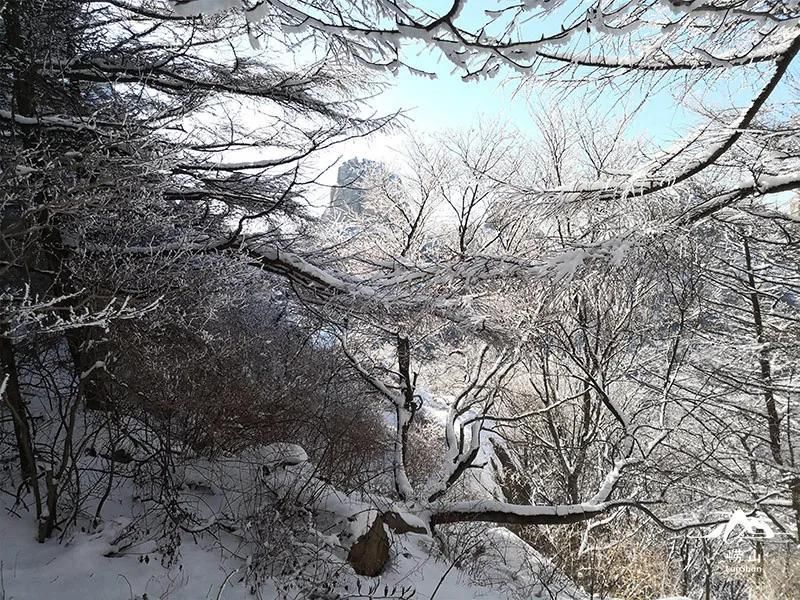 崂山|一场“冰雪奇缘”正在崂山上演…....