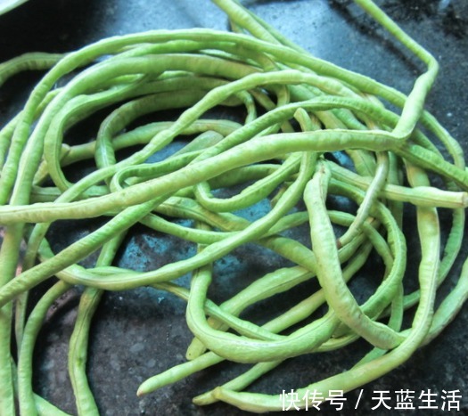 豆角|夏季天热多吃豆角,分享一个新吃法,一口一个特开胃,简单美味!