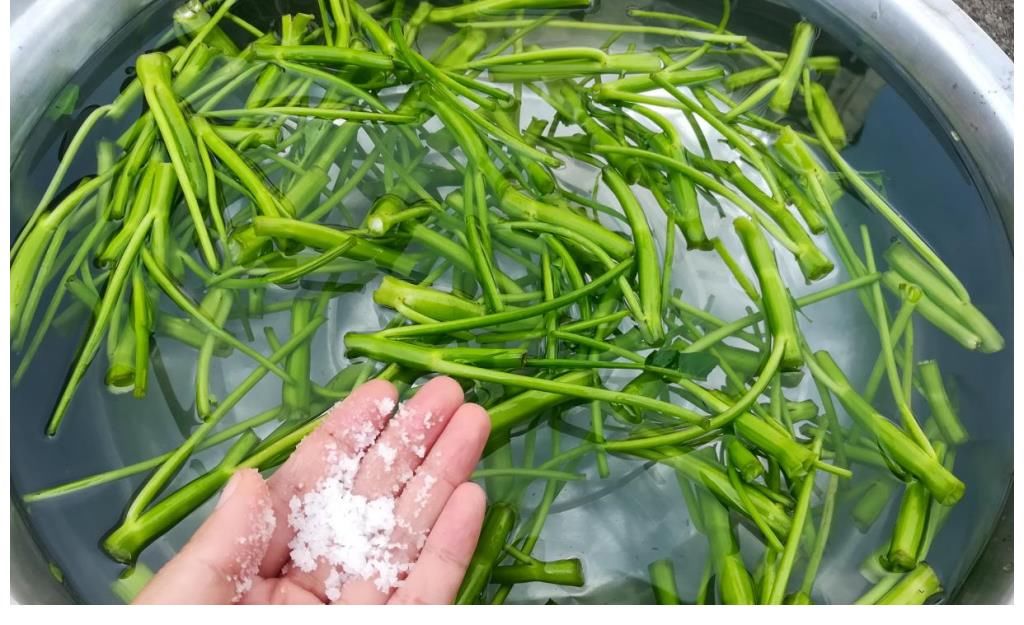 蒜蓉炒空心菜|炒空心菜别焯水，学会餐馆的做法，多加2物，爽脆入味不发黑