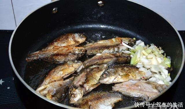 被人“误解”最深的鱼,浑身是宝,比草鱼营养,6元1斤却没人吃!