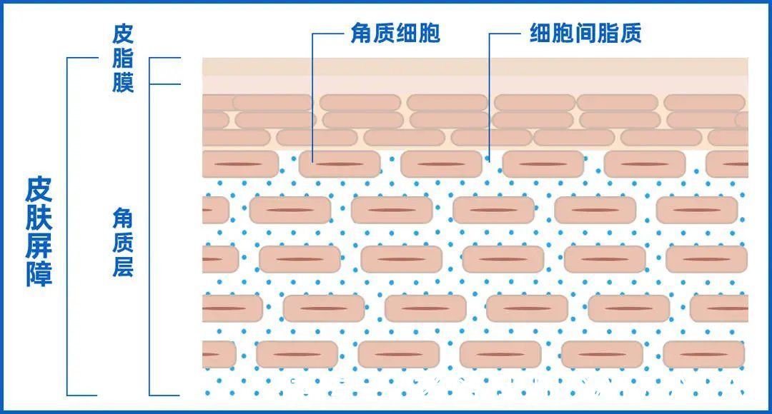 敏感 90%的皮肤问题是「作」出来的，快来看看你中招了没？