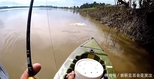 浑水钓鱼真好，钓上的鱼个头真不小，这是河鲶吗？