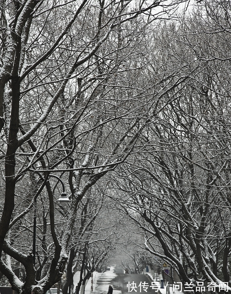 老人#细小的事物(现代诗)