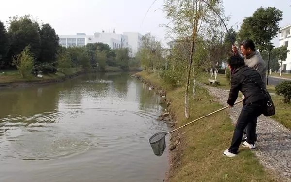 老钓手说漏嘴：秋季只需这“2大调整”，天气再冷也照钓不误