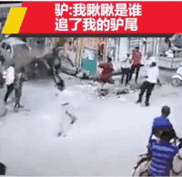 |搞笑段子GIF趣图现在的女孩们去学舞蹈都这么拼了吗。