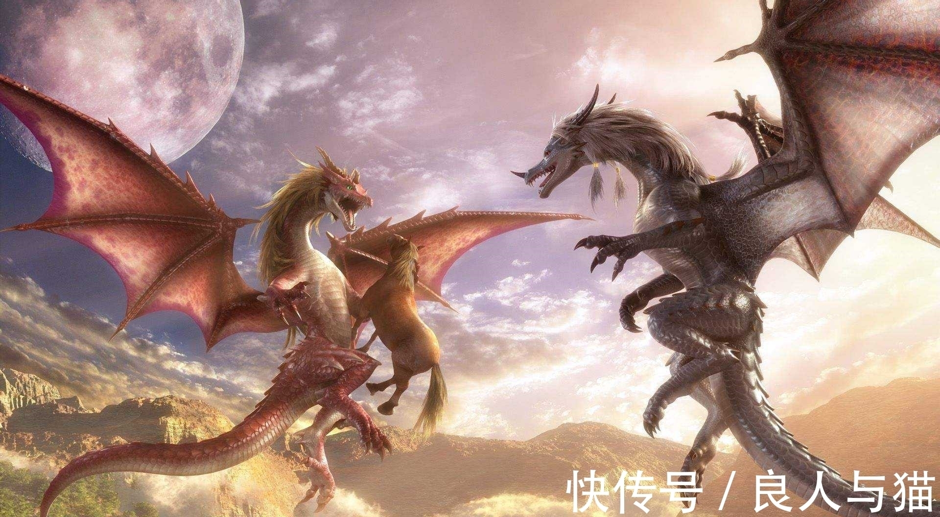 龙类|斗罗大陆出现过四个龙族王后,初代龙神的妻子你还记得吗?