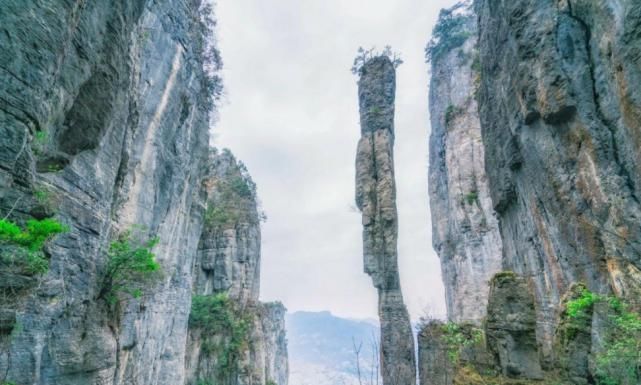 湖北省的一处峡谷，每天有山水演唱会，像是陶渊明笔下的桃花源