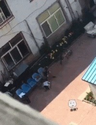 |搞笑GIF趣图： 吓我一跳，其实我第一眼没看出来