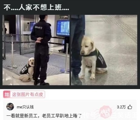 |幽默时刻:“真是令人拍手叫绝的神反应”哈哈哈