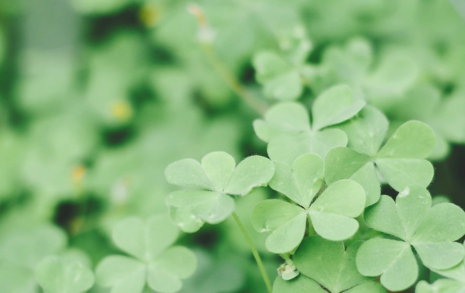 猴女|这生肖女,旺夫命十足,孩子懂事听话,夫妻感情和睦,连旺三代