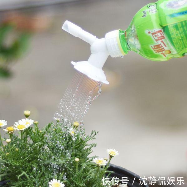 营养物质|成为养花高手,记得别做“3件”错事,几乎啥花都能养“爆盆”