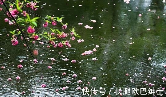 王晏媄$10首写雨诗词,《春夜喜雨》第三,《巴山夜雨》第二,哪首第一?