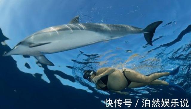 b超|孕妇去海洋馆,被海豚“吻”了肚子,医生恭喜你做了天然B超