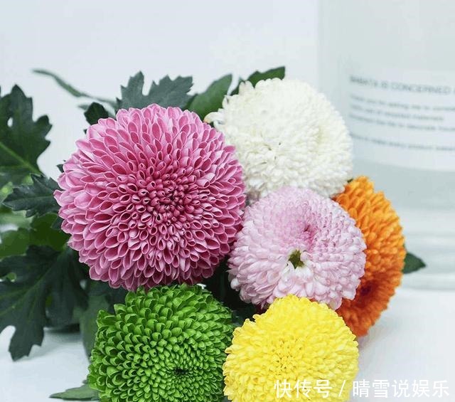 用来浇花|养花不开花,啥都不用学,就会用这些水浇花