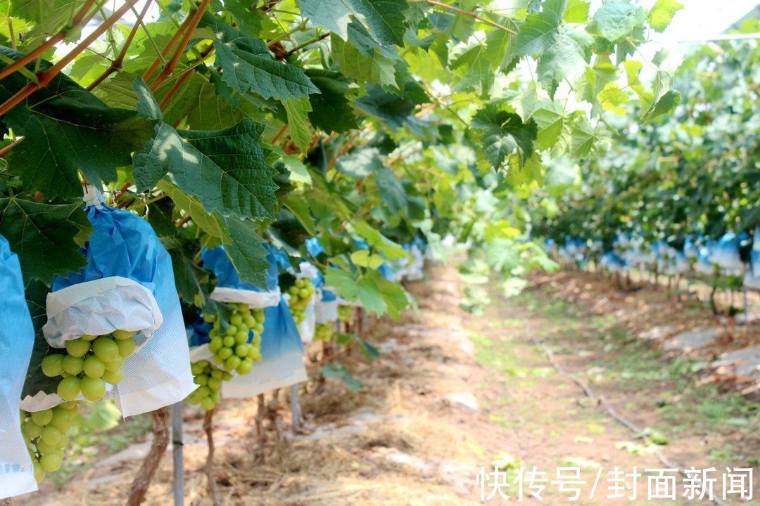 凉山|四川凉山州文广旅局局长周肯：欢迎坐动车前往凉山“快旅慢游”