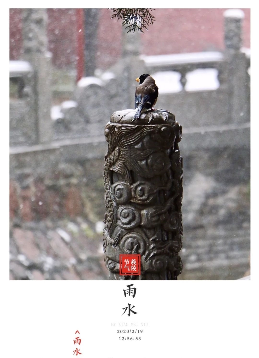 春节的脚步声渐渐近了