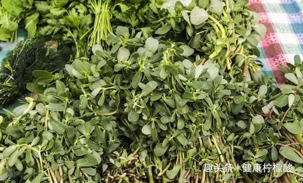 淡竹叶|最好的“减肥药”在厨房!每天吃一点,祛湿又减肥!