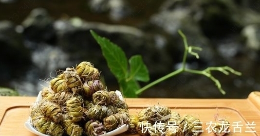 野草|农村一种不起眼的野草，以前经常拿来喂猪，现在要上千块一斤