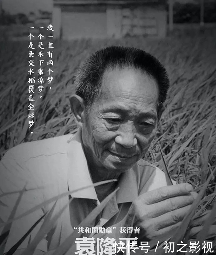 杂交水稻|重温电影《袁隆平》：为了谁，为了秋的收获也为了春回大雁归
