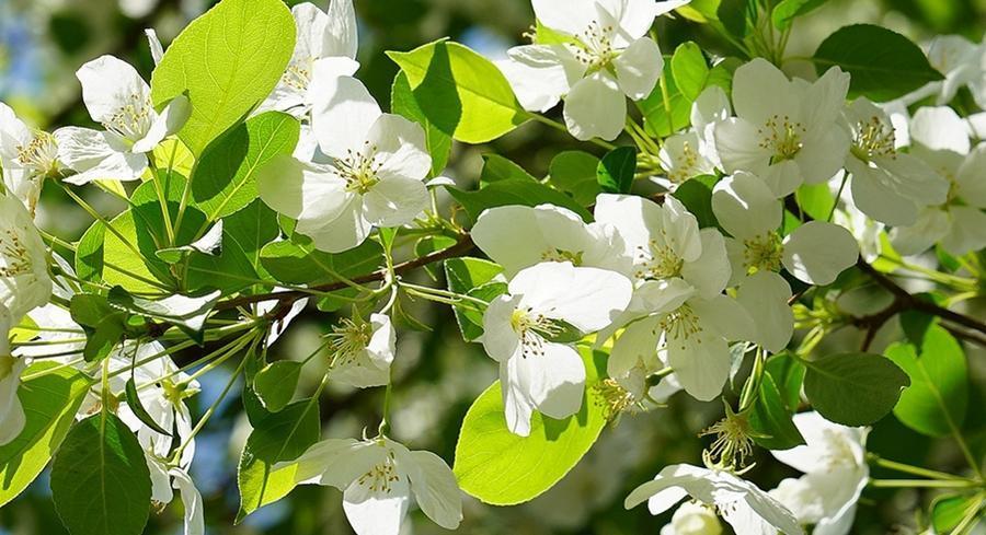 诗鬼李贺的写作小妙招,小学生拿来就能用,家长不再担心作文考砸
