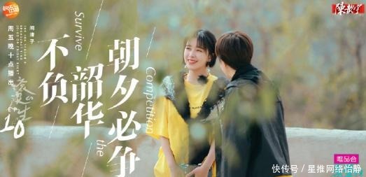 收视在再次夺冠！《亲爱的客栈》究竟靠什么立于不败之地？