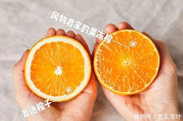 到底|到底多好吃的橙子,才配叫果冻橙