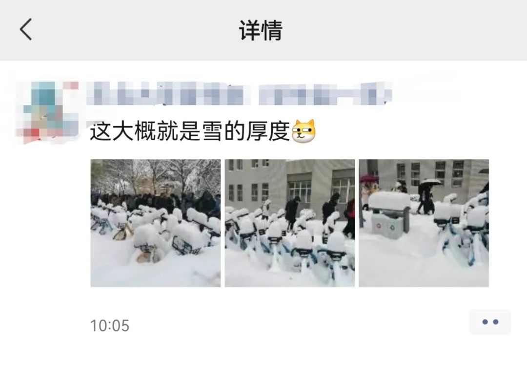 零成本|雪地靠喊找手机、阳台切＂豆腐＂、徒手敲车窗…东北这场罕见暴雪惊了网友