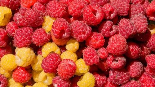  “最贵”的4种水果