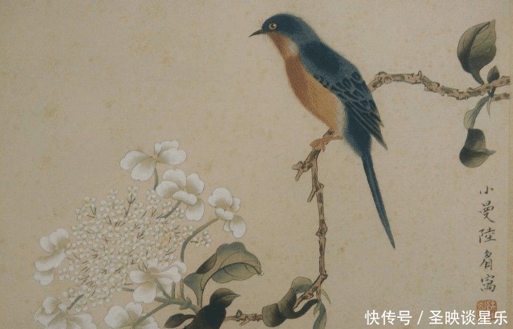 生活|再婚后徐志摩生活窘迫,找张幼仪借钱,每次张幼仪都会说同一句话