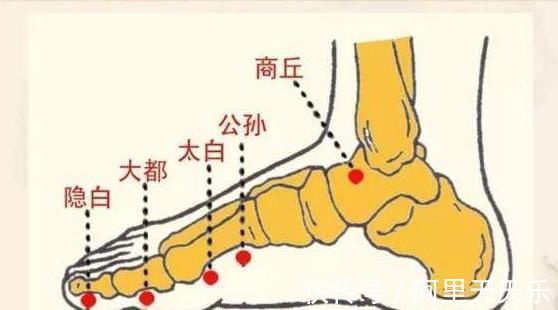 大都穴|脾主运化，常按这几个穴位益于健脾，快来学学