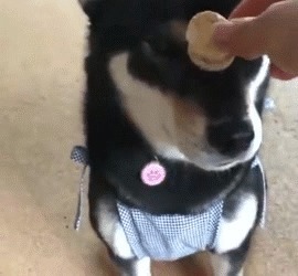 |搞笑GIF:说出来你可能不信 我今天被一个小女孩骗了