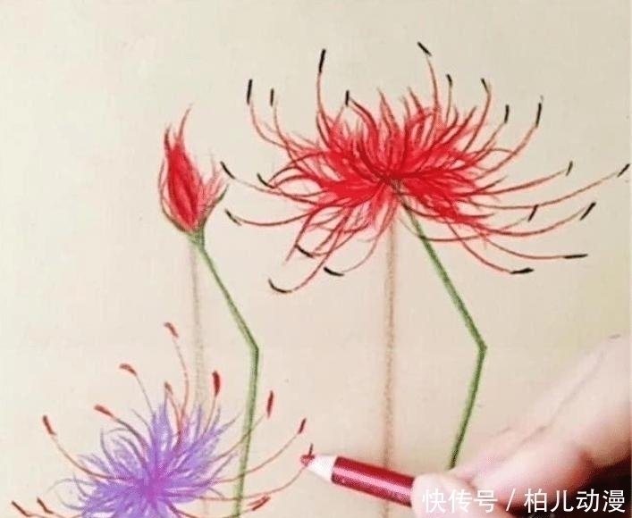 画纸|开始以为是劣质美术生,画朵花杆都“折”了,对着画纸后打脸了