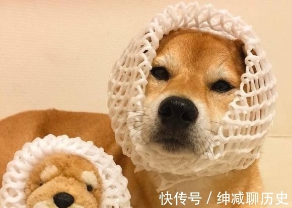 |搞笑图片:如果我说这不是我做的你信吗?