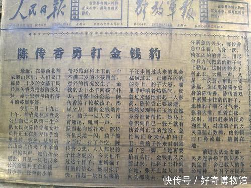 柯正玉|现代版女武松,19岁少女拳打恶豹,徒手救人