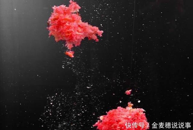 拉丝粉、雪花粉、膨胀粉,各有什么特点,在什么情况下使用