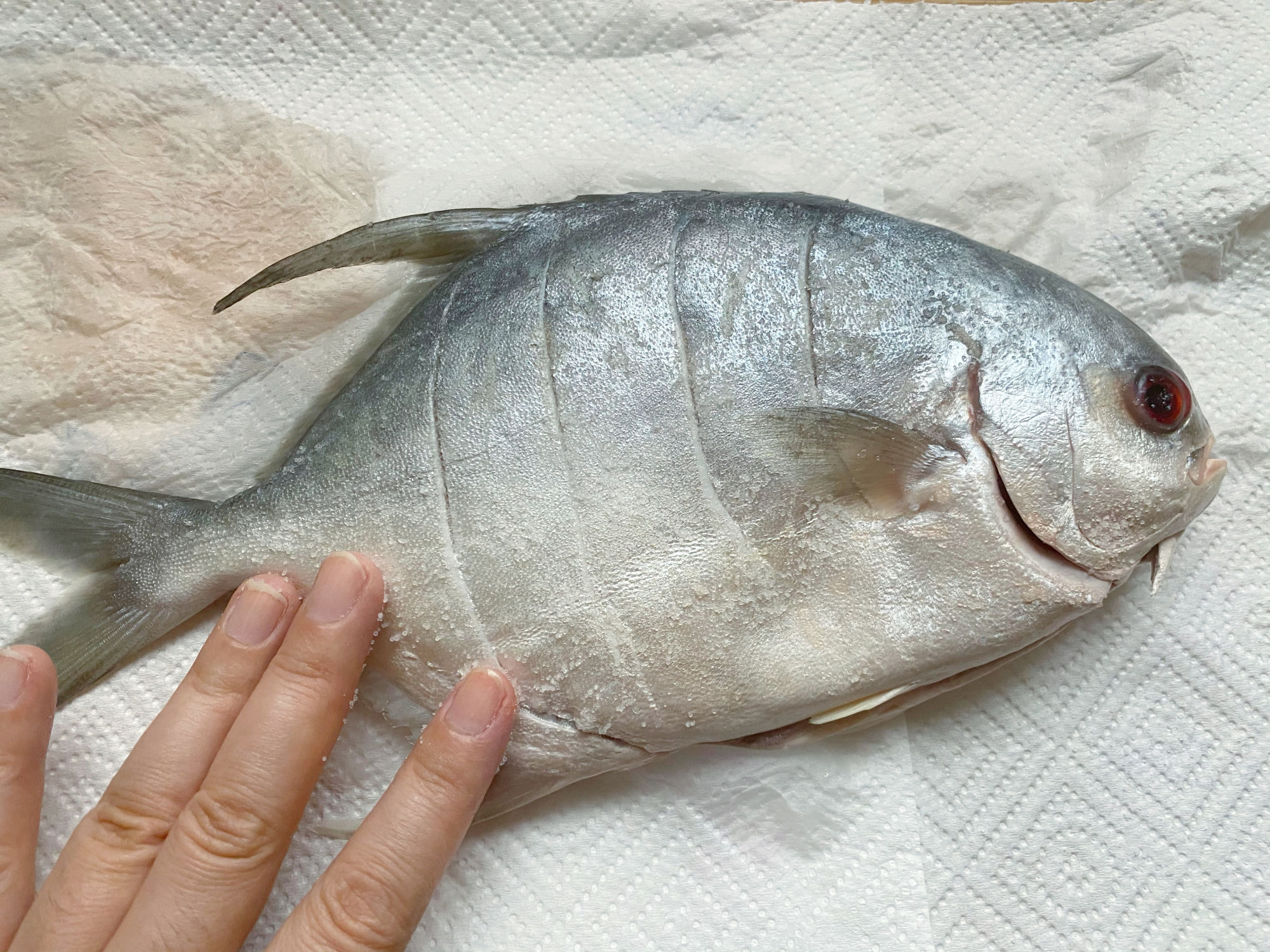  红烧|天冷了孩子迷上吃鱼，不腌渍不红烧，上锅蒸一蒸，美味健康不上火