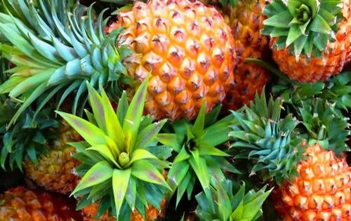 女性不妨多吃三種食物，美容養顏，延緩衰老，身體棒棒噠！