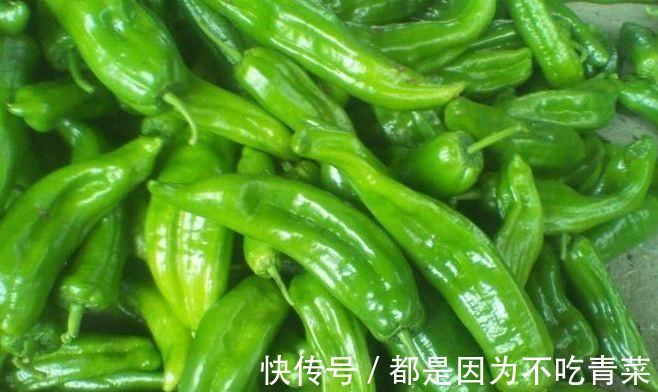 青椒青椒|对身体最好的以下食物,营养丰富,延缓衰老,好处多多