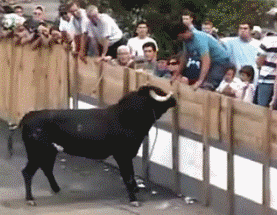 |搞笑GIF:怎么回事啊!瞌睡成这样啊!