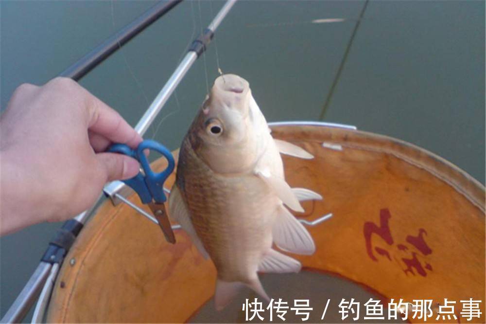 早春钓鱼,最大的误区都跟浮漂有关,一是吃铅量二是钓钝还是灵