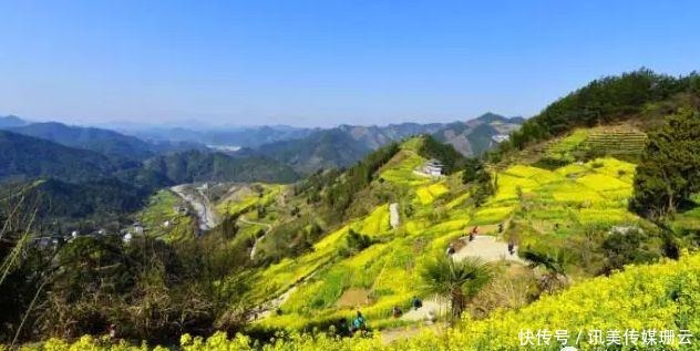 圆弧|【安徽油菜花】最全徽州油菜花赏花地图来了，这份攻略要收好