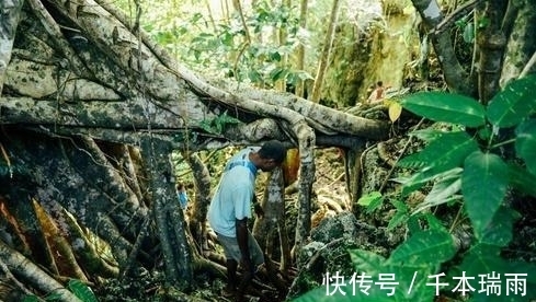 食人族|世界上最神秘的原始部落，来此不能单独出行，游客：给钱都不能去