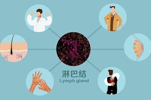 癌细胞|为何有人癌症治愈后,多年未复发?3个“坚持”,很多人做不到