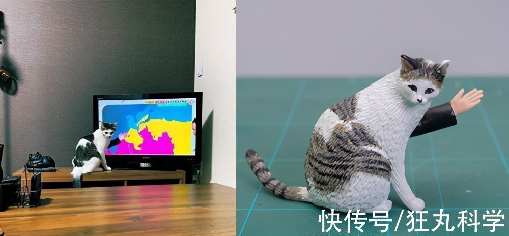 长颈狗|全球的猫都想屏蔽这个日本人,他到底做了多少沙雕手办?