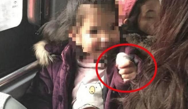 女童|5岁女童公交上“把玩”仓鼠,好心乘客劝告反被妈妈怼:要你管?
