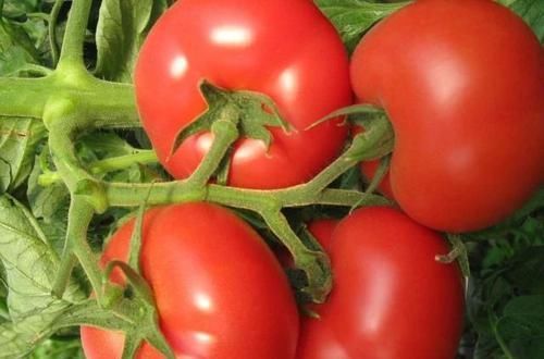 糖尿病的“克星”找到了，工资再少也要多吃4物，血糖或许悄悄降