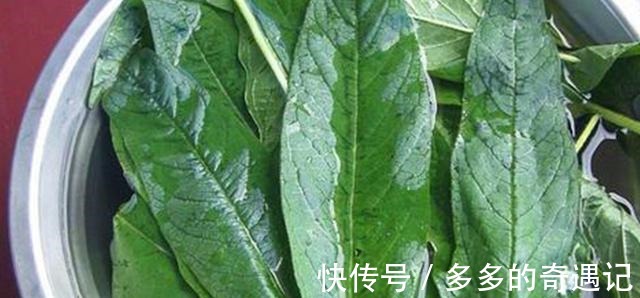 干菜|这个美食大家只知道种子能吃，殊不知叶子更珍贵，如今30元一斤！