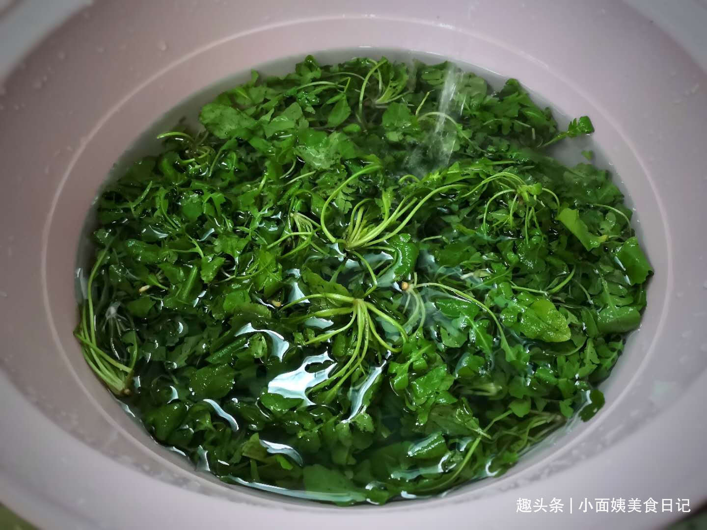 秋天，抓紧吃此菜，鲜嫩翠绿特下饭，3元一斤，再不吃就过时了！